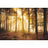 DEKOPANEEL - Multicolor, Basics, Holzwerkstoff (60/90cm) - Reinders Next DEKOPANEEL - Multicolor, Basics, Holzwerkstoff (60/90cm) - Reinders Next