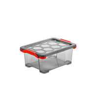 KISTE  - Anthrazit, Basics, Kunststoff (28,3/16,0/39,3cm) - Rotho