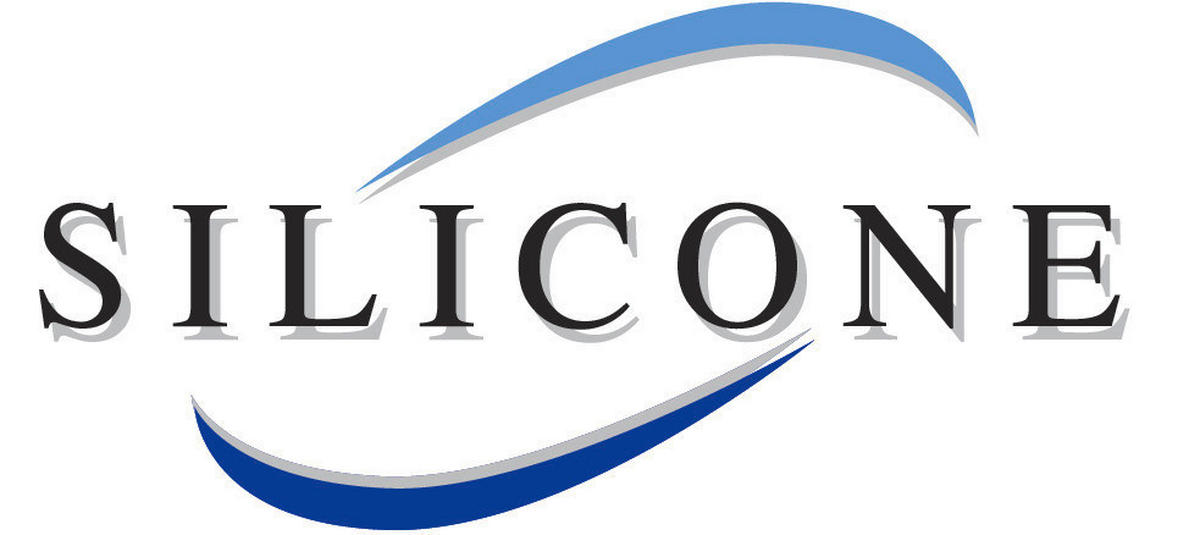 DUSCHABZIEHER - Schwarz, KONVENTIONELL, Kunststoff (21/25,5/4cm) - Schöner Wohnen