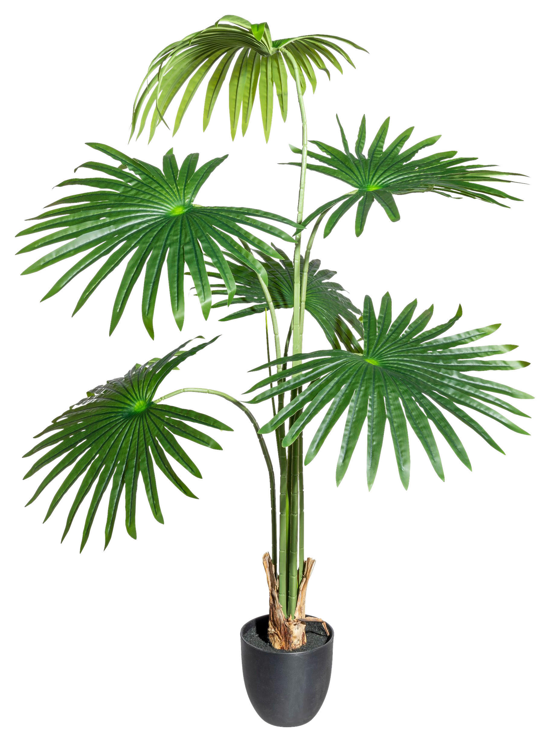 KUNSTPFLANZE Palme 120 cm  - Schwarz/Grün, Design, Kunststoff (120cm)