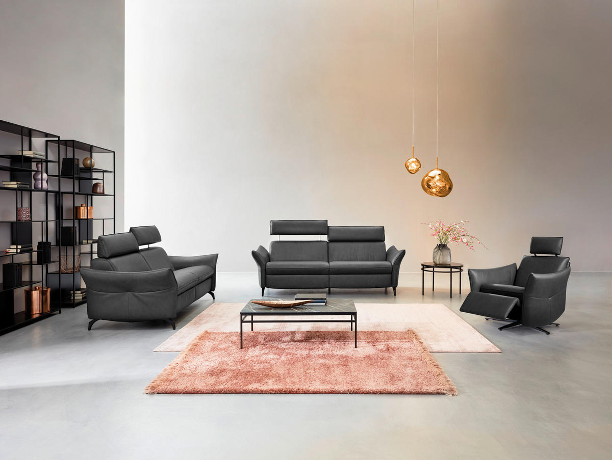 3-SITZER-SOFA Echtleder Dunkelgrau  - Dunkelgrau/Anthrazit, Design, Leder/Metall (224/92/95cm) - Himolla