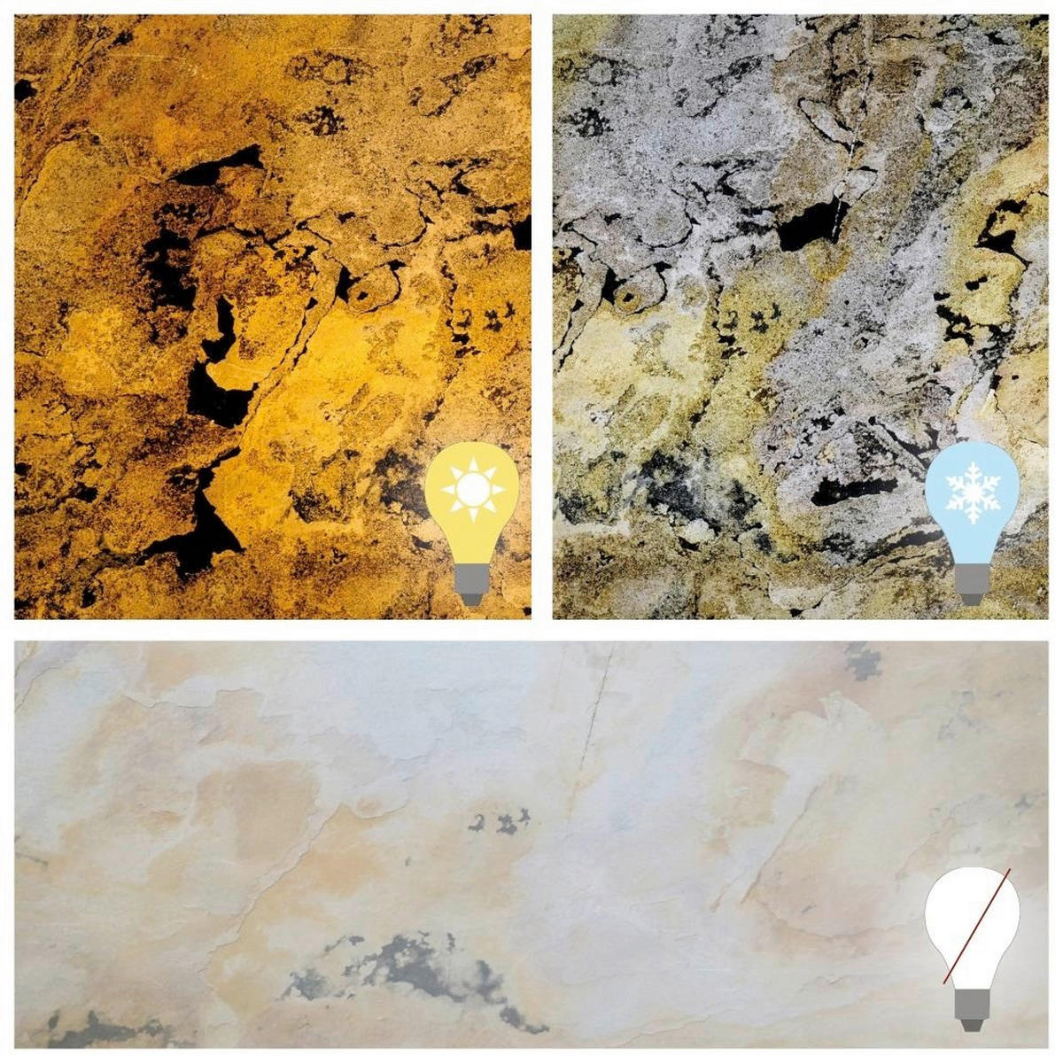 WANDPANEEL Grau, Rot, Schlammfarben, Sandfarben, Beige  - Sandfarben/Schlammfarben, Basics, Kunststoff/Stein (240/120cm)