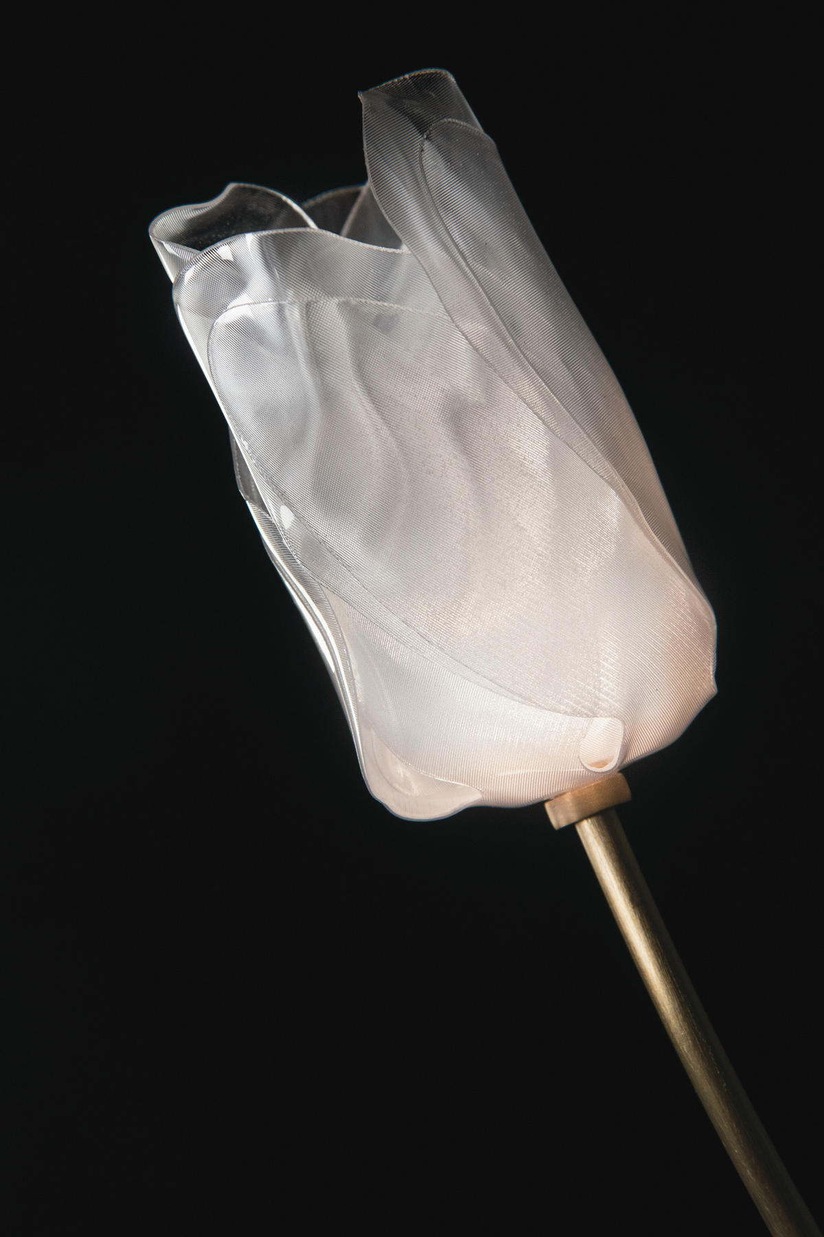 AKKU-TISCHLEUCHTE Tulip Battery 8,5/15/38 cm   - Transparent/Goldfarben, KONVENTIONELL, Kunststoff/Metall (8,5/15/38cm) - Slamp