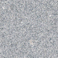 WANDPANEEL  - Design (60/30/0,4cm)