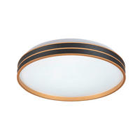 STROPNÍ LED SVÍTIDLO, 39 cm - černá/barvy zlata, Basics, kov/plast (39cm) - Rabalux