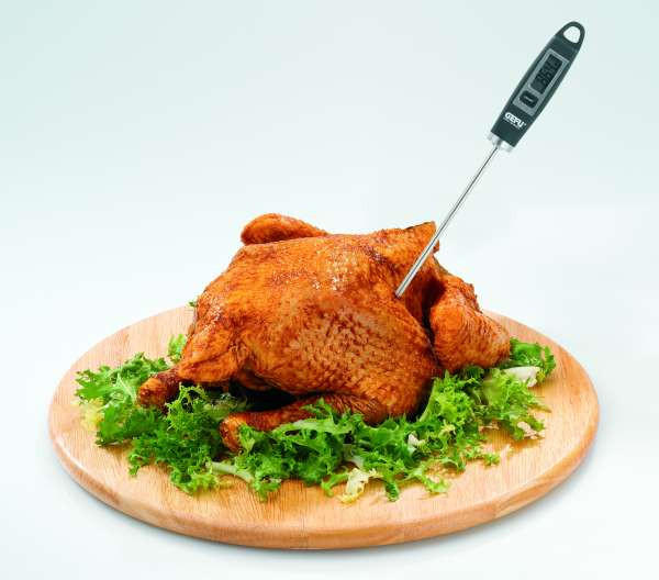 TEPLOMĚR DO TROUBY - černá/barvy stříbra, Basics, plast (8cm) - Gefu