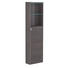 SEITENSCHRANK Braun - Chromfarben/Braun, Design, Glas/Holzwerkstoff (40/147/17,5cm) - Welnova SEITENSCHRANK Braun - Chromfarben/Braun, Design, Glas/Holzwerkstoff (40/147/17,5cm) - Welnova