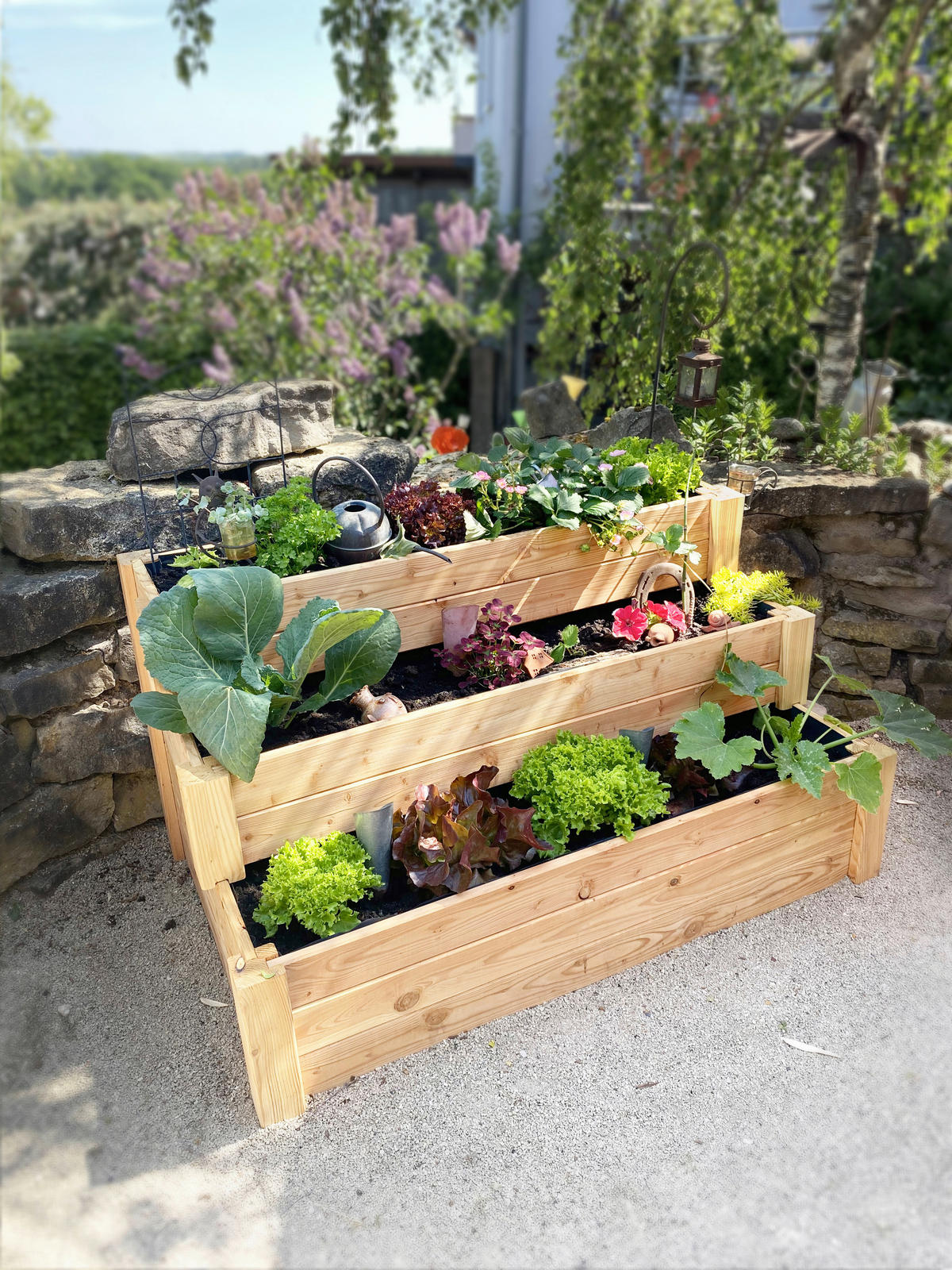 HOCHBEET  - Lärchefarben, Basics, Holz (76/64/120cm) - Ambia Garden