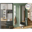 SCHUHSCHRANK 50/195/18 cm  - Anthrazit, Design, Glas/Holzwerkstoff (50/195/18cm) - Xora