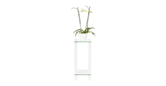 BLUMENTISCH Glas, Holzwerkstoff - Klar/Weiß, Design, Glas/Holzwerkstoff (25/25/60cm) - Carryhome