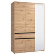 DREHTÜRENSCHRANK 5-türig Schwarz, Eiche Artisan  - Schwarz/Eiche Artisan, Basics, Glas/Holzwerkstoff (138/210,5/54cm) - Xora