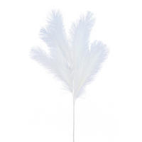 OKRASNA TRAVA - bela, Basics (110cm)