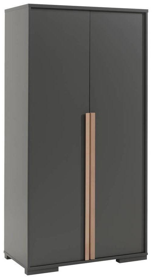 DREHTÜRENSCHRANK 2-türig Anthrazit  - Anthrazit/Buchefarben, MODERN, Holz/Holzwerkstoff (98,5/195,2/56cm) - MID.YOU