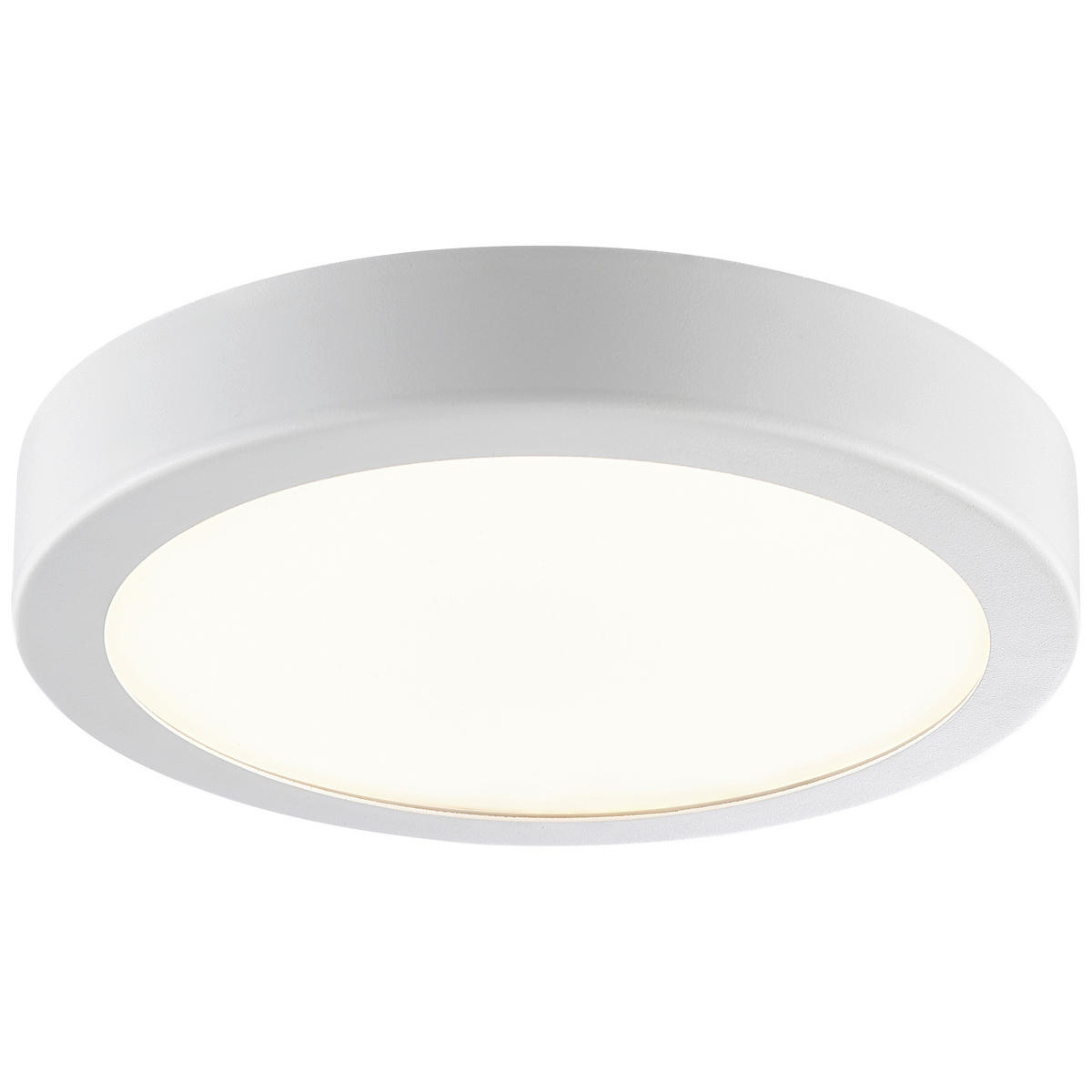 LED-DECKENLEUCHTE 25/4 cm   - Weiß, Basics, Kunststoff/Metall (25/4cm) - Brilliant