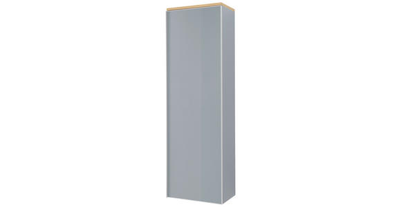 GARDEROBENSCHRANK 54/170/31 cm - Eichefarben/Silberfarben, Design, Glas/Holz (54/170/31cm) - Novel