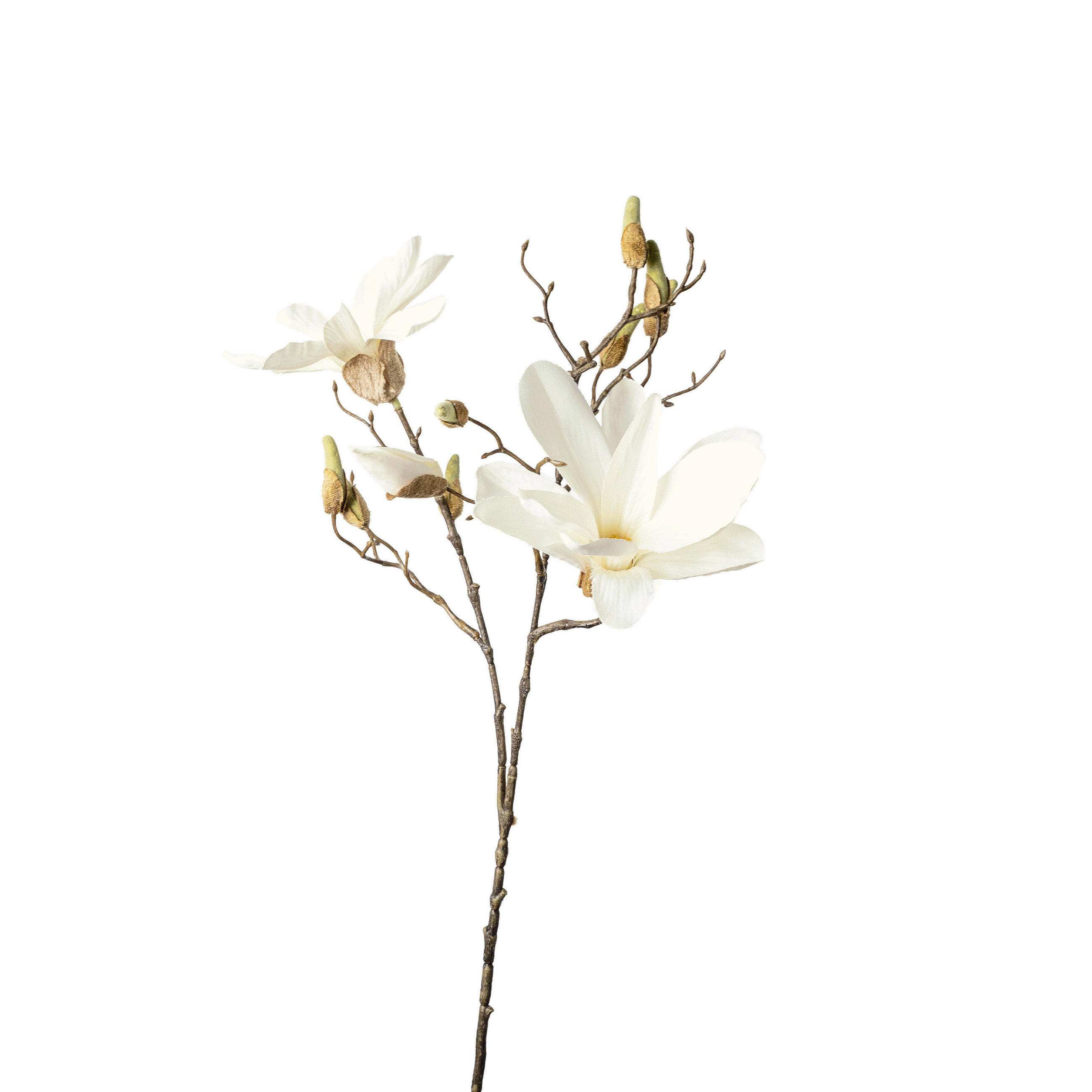 MAGNOLIJA - zelena/bela, Osnovno, plastika (85cm)