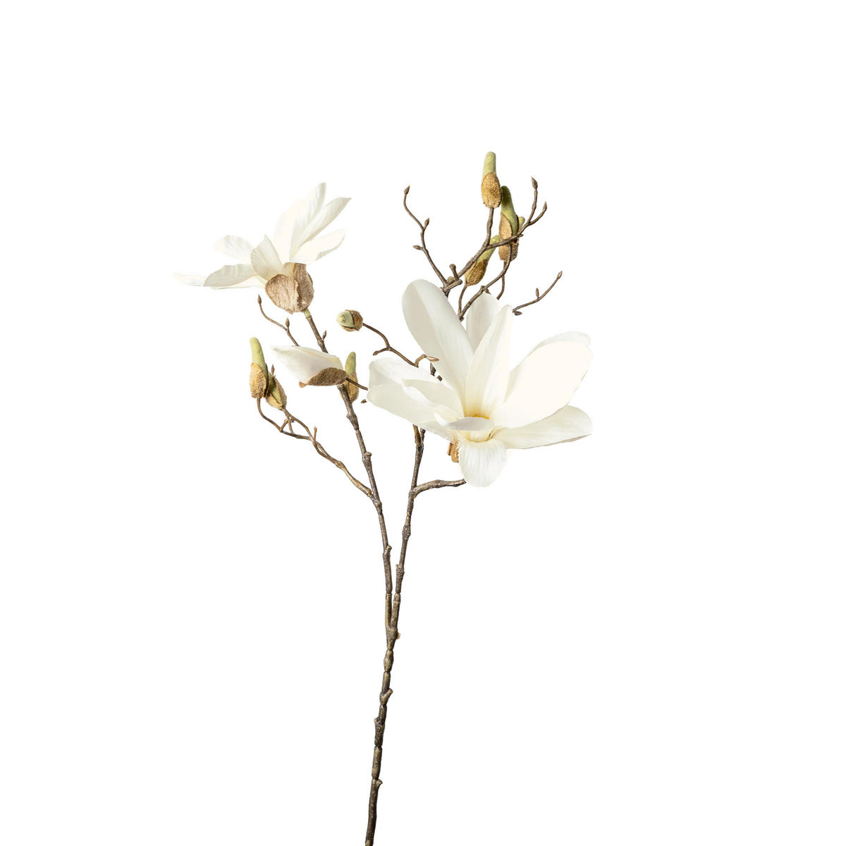 MAGNOLIJA - zelena/bela, Osnovno, plastika (85cm)