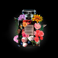 BILD Blumen 100/100 cm  - Multicolor/Schwarz, Design, Kunststoff (100/100cm)