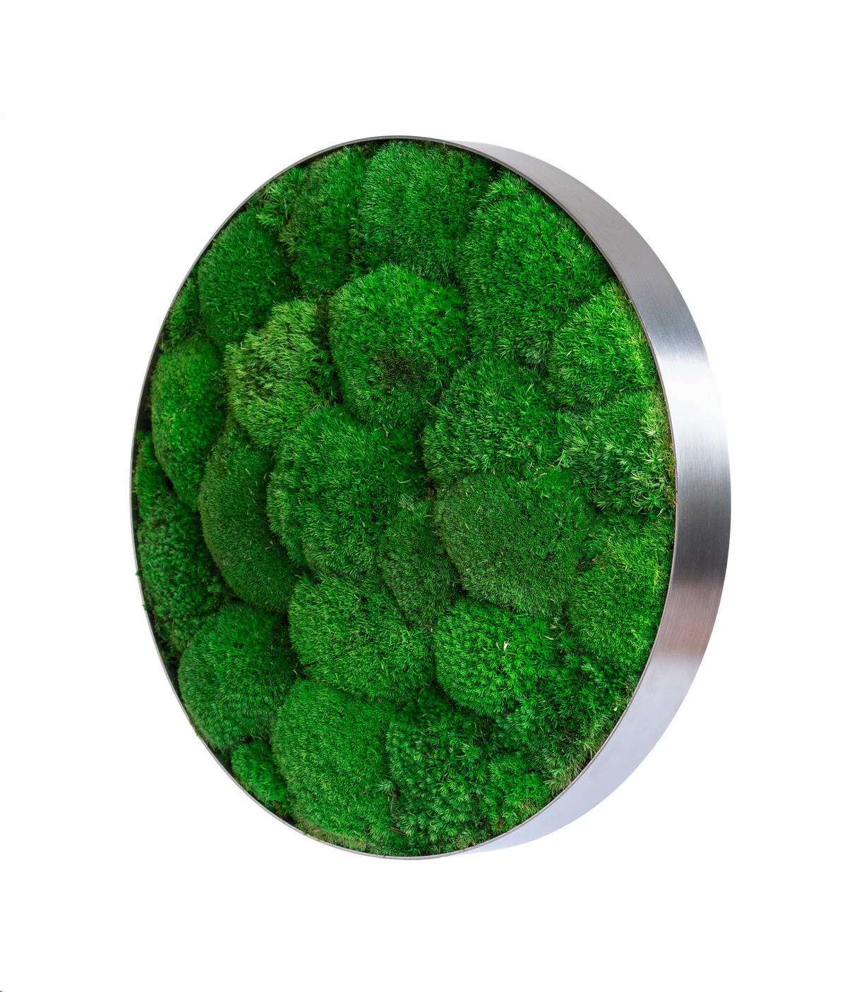 MOOSBILD Stylegreen  - Grün, Basics, Naturmaterialien/Metall (34/8cm)