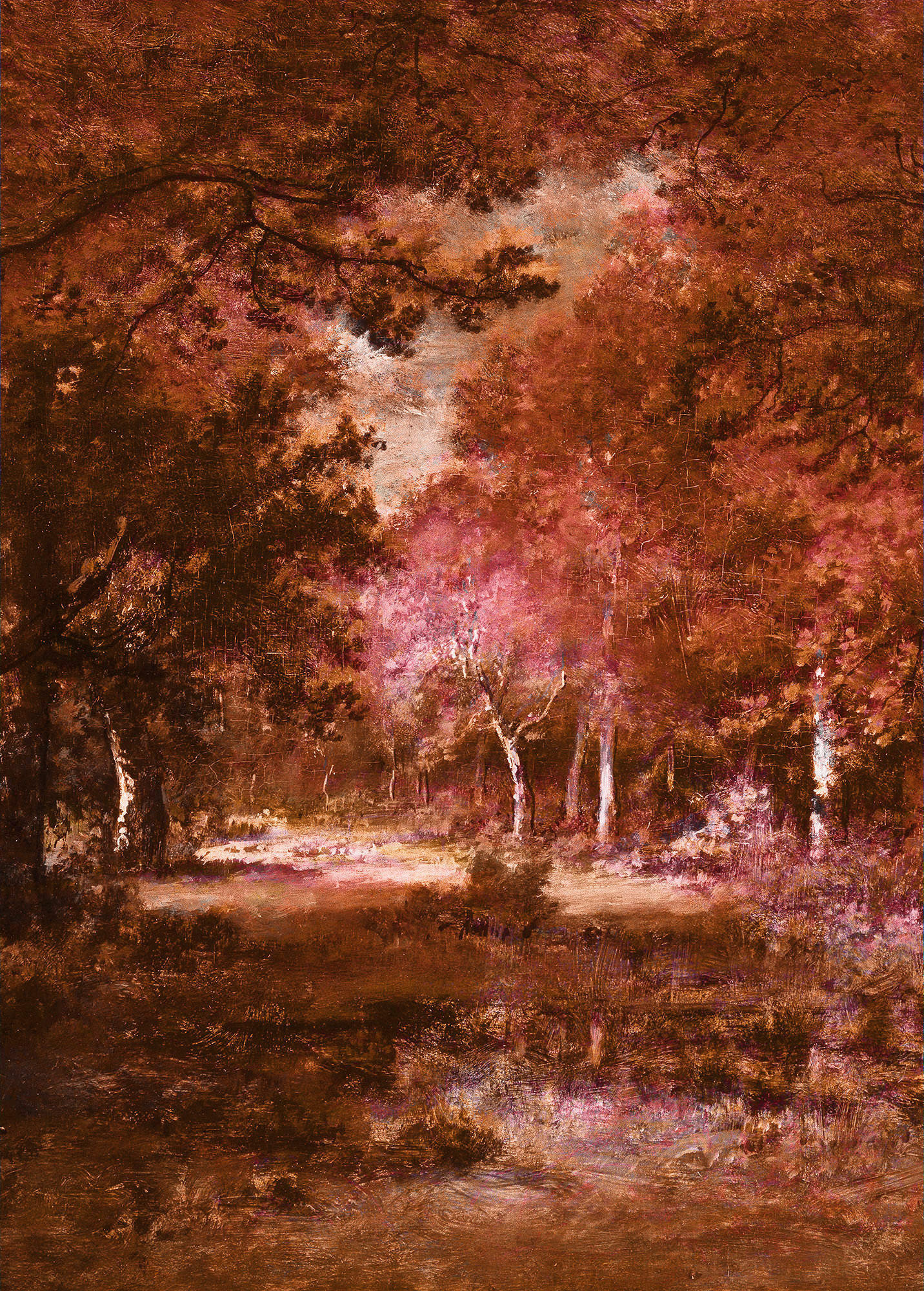 Xora Fototapete 200x280 cm
