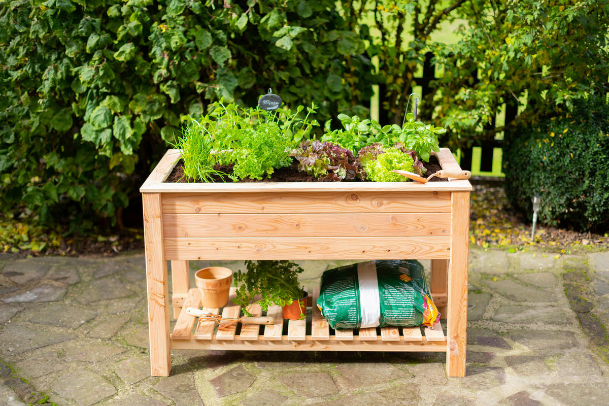 HOCHBEET  - Lärchefarben, KONVENTIONELL, Holz (120/65/75cm) - Ambia Garden