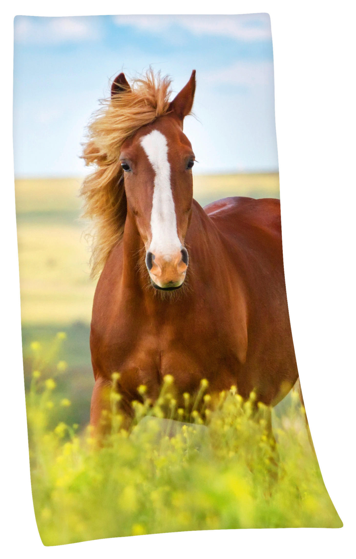 BADETUCH Blau, Braun, Grün, Multicolor 75/150 cm  - Blau/Multicolor, Basics, Textil (75/150cm) - Herding