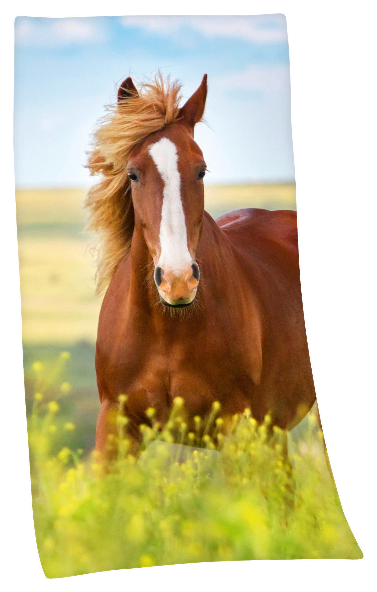 BADETUCH Blau, Braun, Grün, Multicolor 75/150 cm  - Blau/Multicolor, Basics, Textil (75/150cm) - Herding