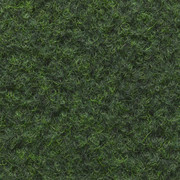 RASENTEPPICH - Grün, KONVENTIONELL, Kunststoff/Textil (400cm) - Ambia Garden
