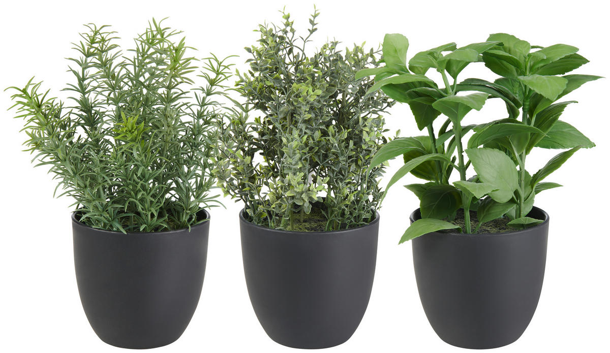 KUNSTPFLANZE 25 cm  - Schwarz/Grün, Basics, Kunststoff/Textil (25cm)