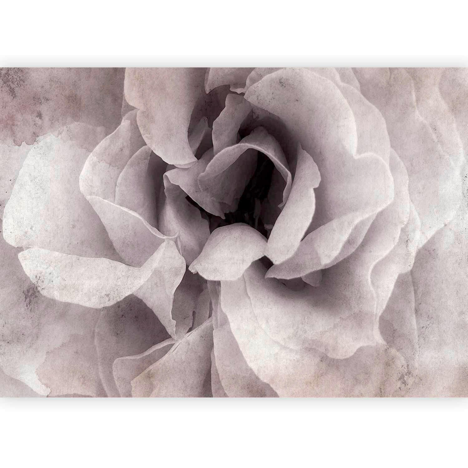 FOTOTAPET 300/210 cm  - vit/ljusrosa, Lifestyle, textil (300/210cm) - artgeist