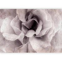 FOTOTAPET 300/210 cm  - vit/ljusrosa, Lifestyle, textil (300/210cm) - artgeist