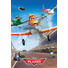 POSTER - Multicolor, Papier (91/61/0.01cm) - Reinders Next POSTER - Multicolor, Papier (91/61/0.01cm) - Reinders Next