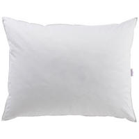 KOPFPOLSTER 70/90 cm   - Basics (70/90cm) - Sleeptex