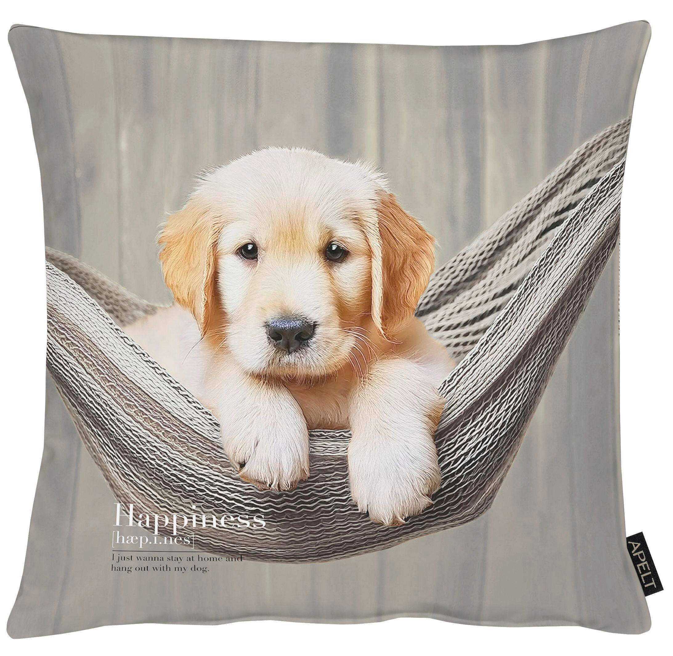 ZIERKISSEN  45/45 cm   - Hellgrau, Basics, Textil (45/45cm) - Apelt