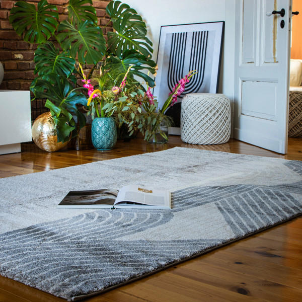 HOCHFLORTEPPICH 200/290 cm My Canyon  - Taupe, Basics, Textil (200/290cm)