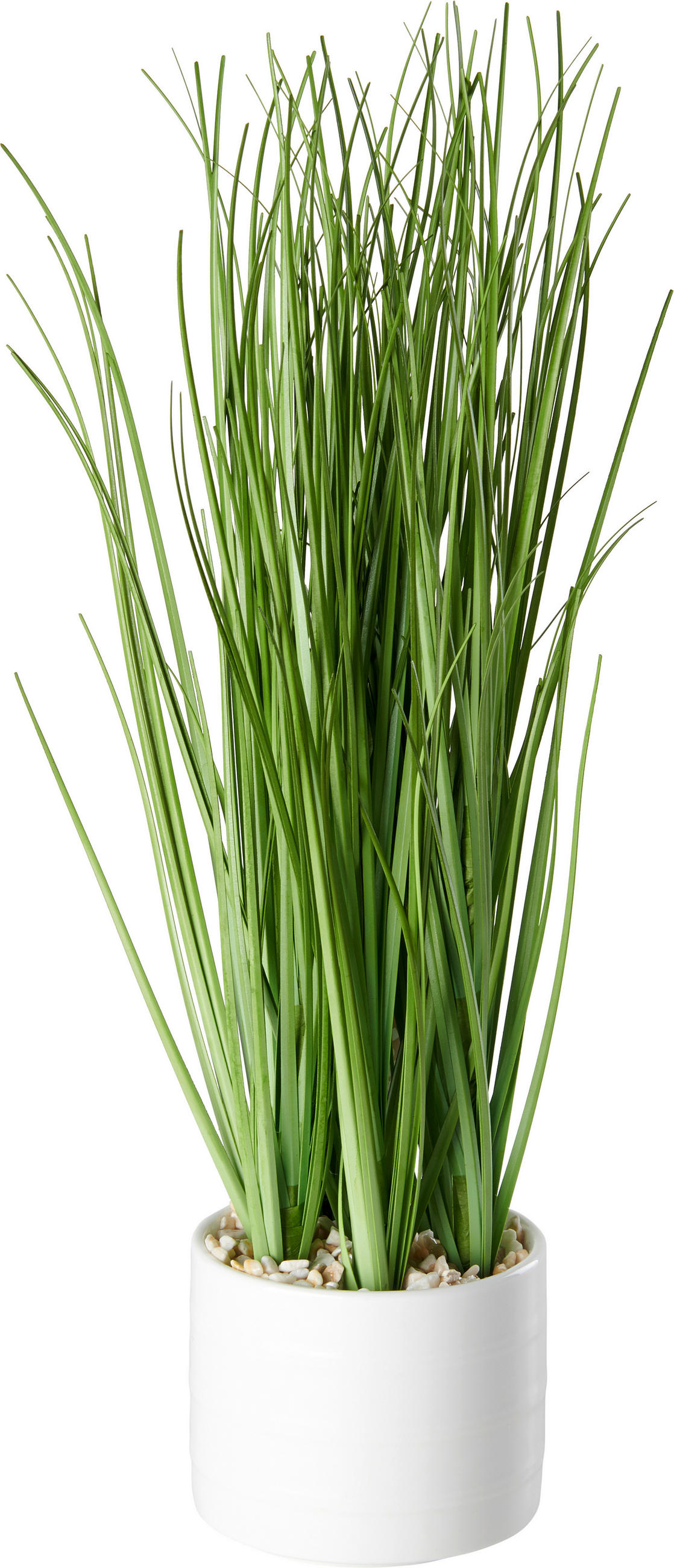 DEKORAČNÍ TRÁVA, 30 cm - zelená, Basics, plast (30cm) - Ambia Home