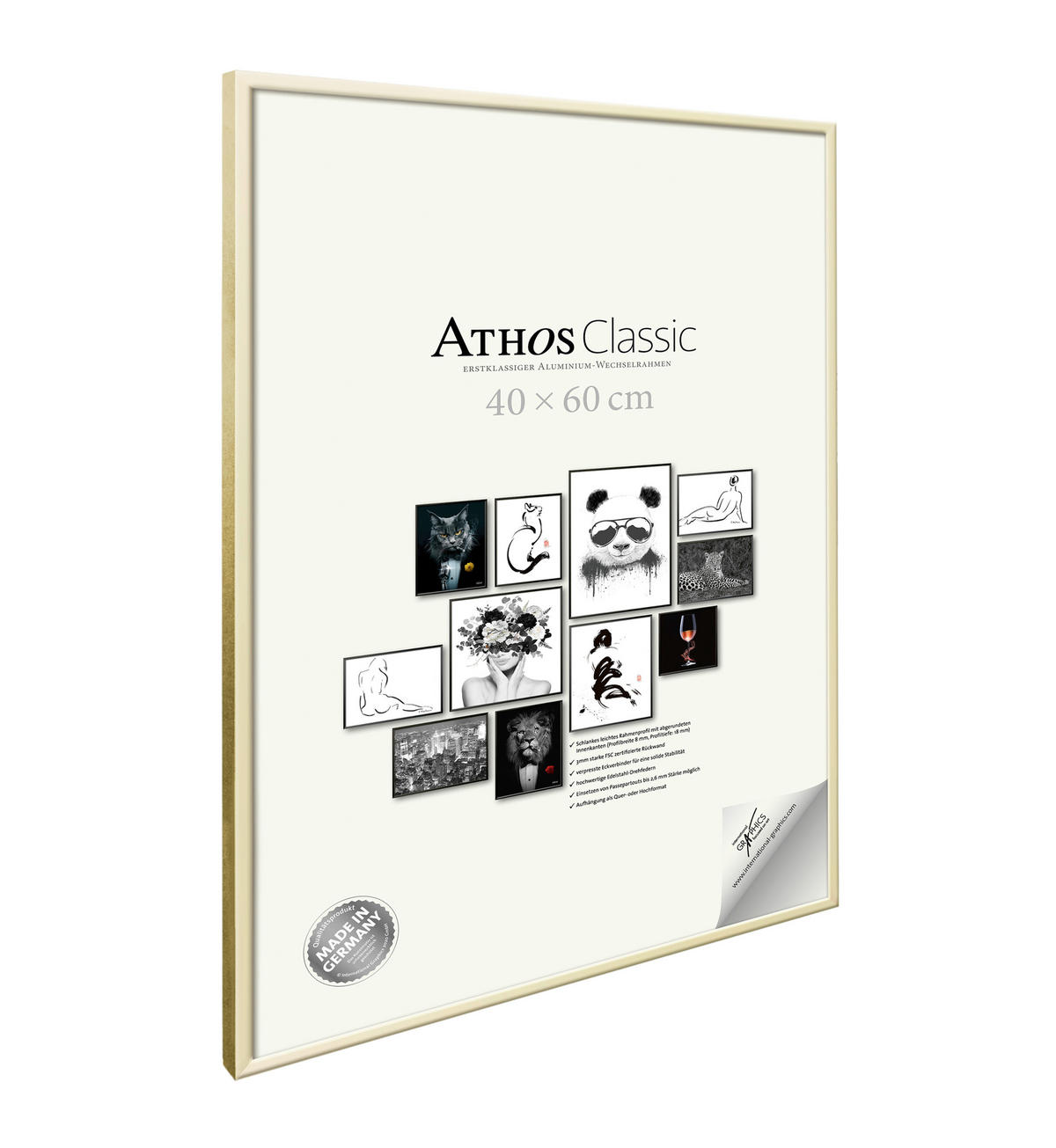 BILDERRAHMEN - Goldfarben, Basics, Papier/Holzwerkstoff (40/60/1,8cm)