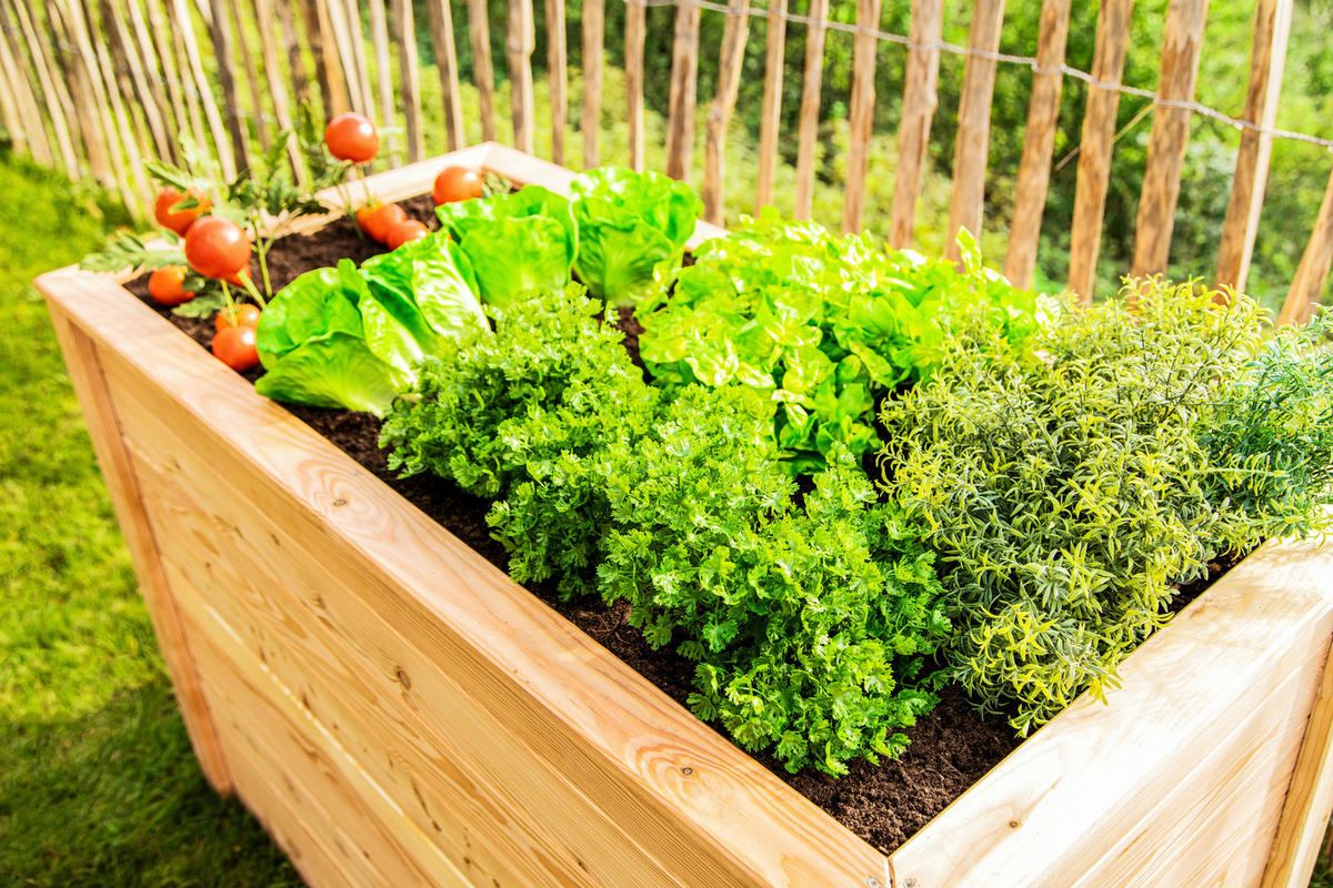 VYVÝŠENÝ ZÁHON   - farba smrekovca, Basics, drevo (90/84/170cm)