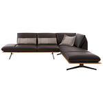 ECKSOFA  in Echtleder Braun  - Schwarz/Braun, Design, Leder/Holz (282/205cm) - Dieter Knoll