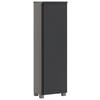 MIDISCHRANK 40/130/35 cm  - Silberfarben/Graphitfarben, Modern, Holzwerkstoff/Kunststoff (40/130/35cm) - Held