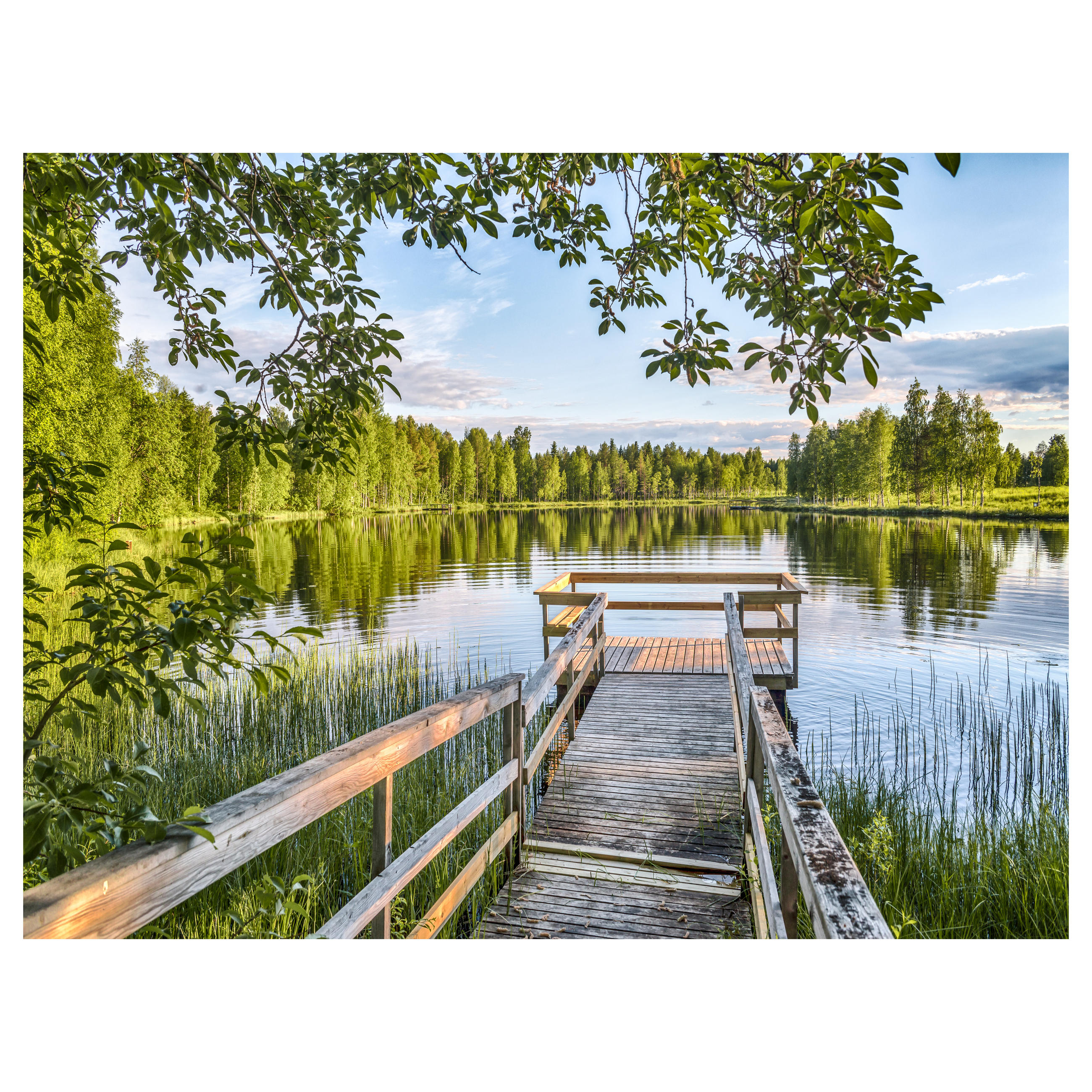 Glasbilder ǀ Edle Glas Wandbilder Xxxlutz