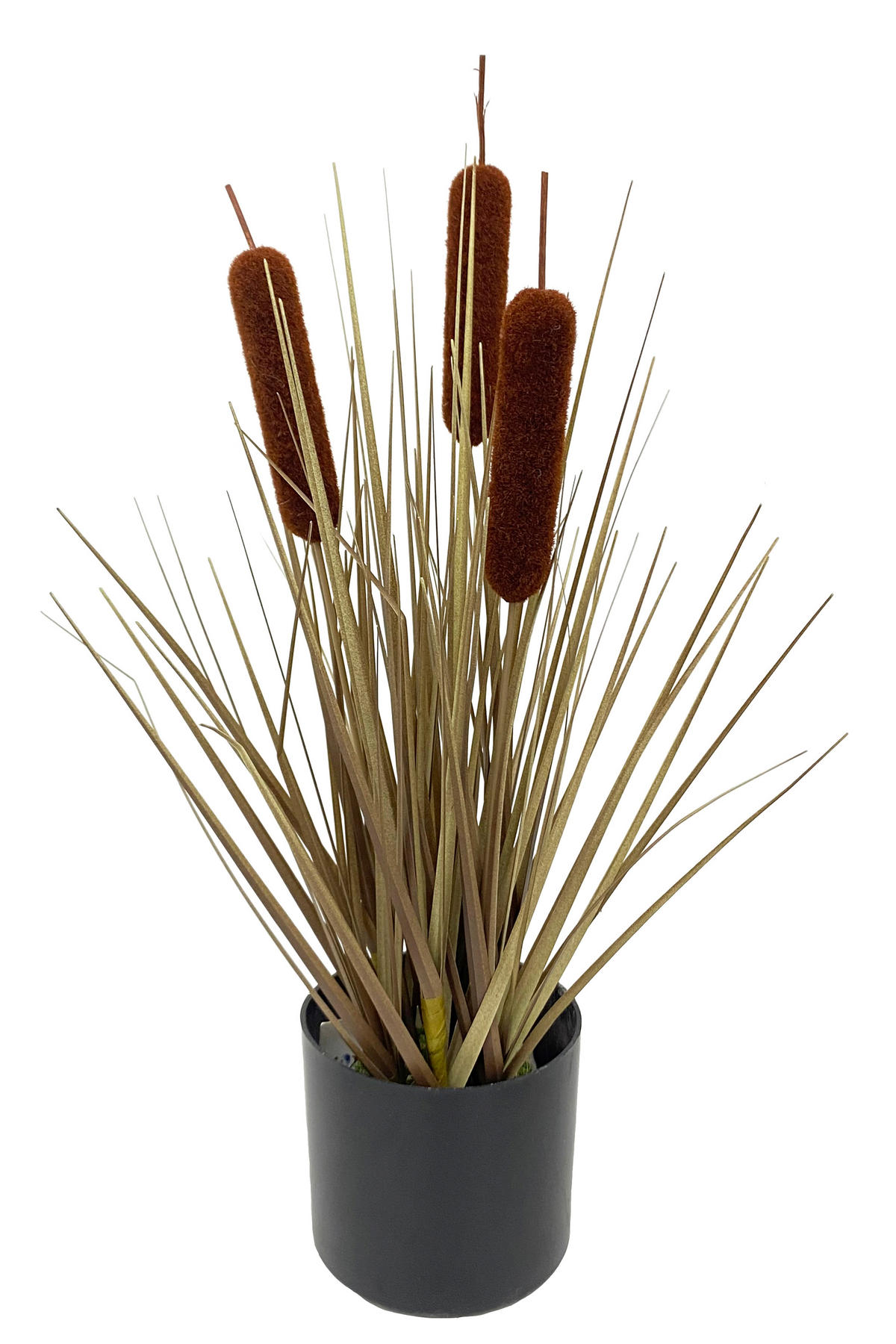 OROBINEC, 40 cm - Basics (40cm) - Ambia Home
