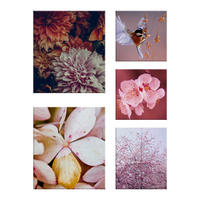 LEINWANDBILD Blumen, Blätter 80/60/3 cm  - Pink, Basics, Wellpappe/Textil (80/60/3cm)