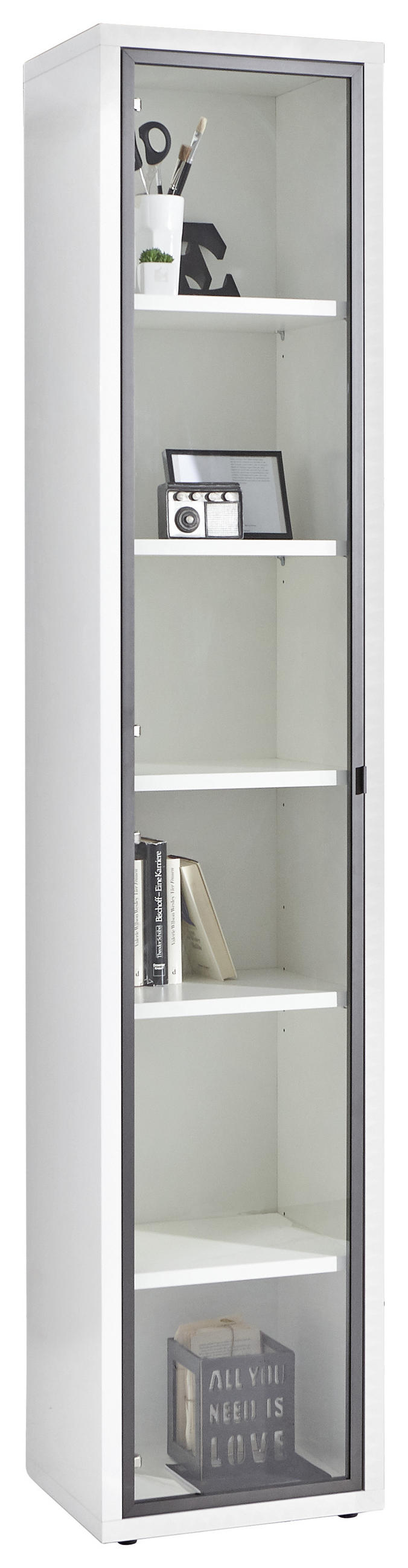 TÜR - Anthrazit, Design, Glas/Metall (37/209/2cm) - Carryhome