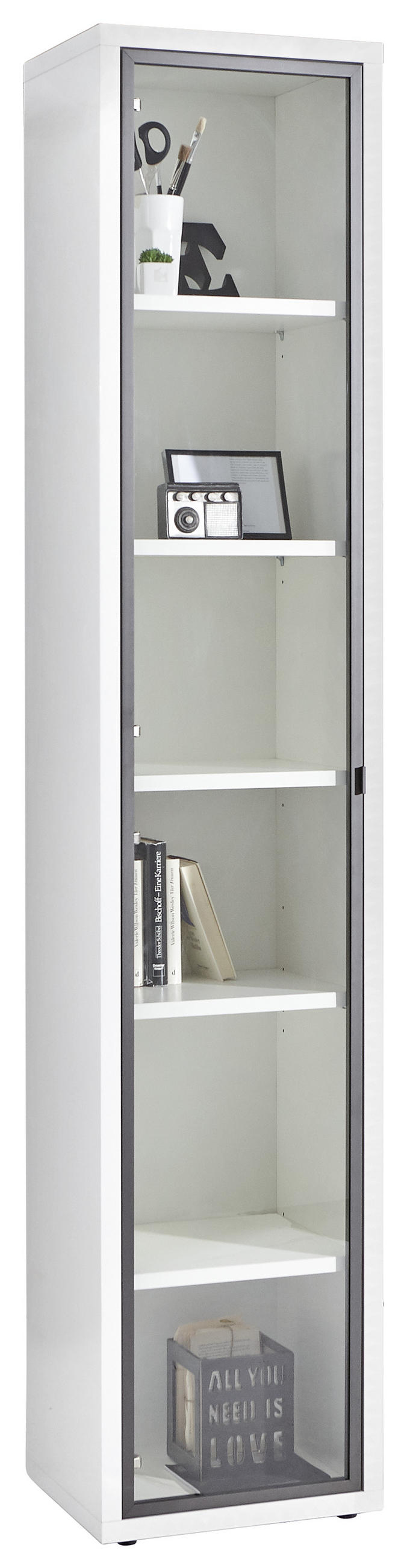 VRATA - antracit, Design, kovina/steklo (37/209/2cm) - Carryhome