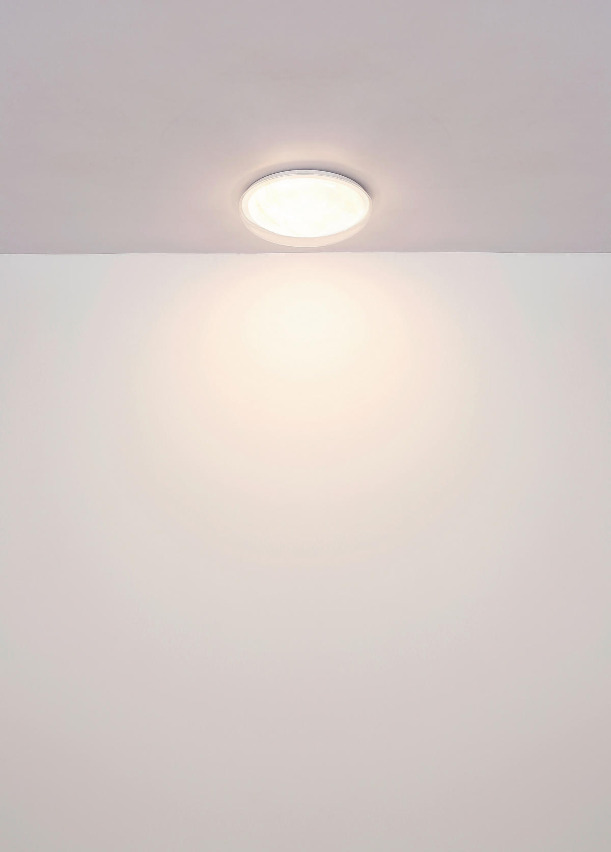 STROPNÍ LED SVÍTIDLO, 38,5/8 cm  - bílá/čiré, Basics, kov/plast (38,5/8cm) - Globo