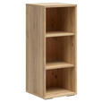 AKTENREGAL Eichefarben  - Eichefarben/Schwarz, KONVENTIONELL, Holzwerkstoff/Kunststoff (42/100/41cm) - Carryhome