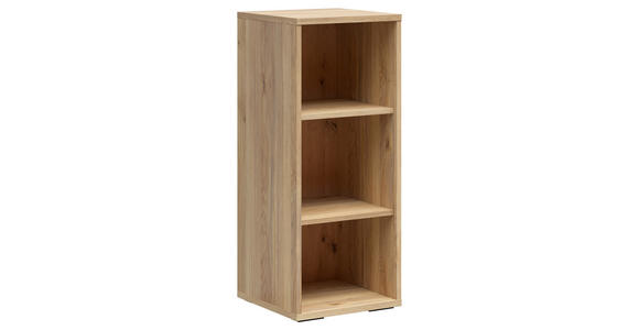 AKTENREGAL Eichefarben  - Eichefarben/Schwarz, KONVENTIONELL, Holzwerkstoff/Kunststoff (42/100/41cm) - Carryhome