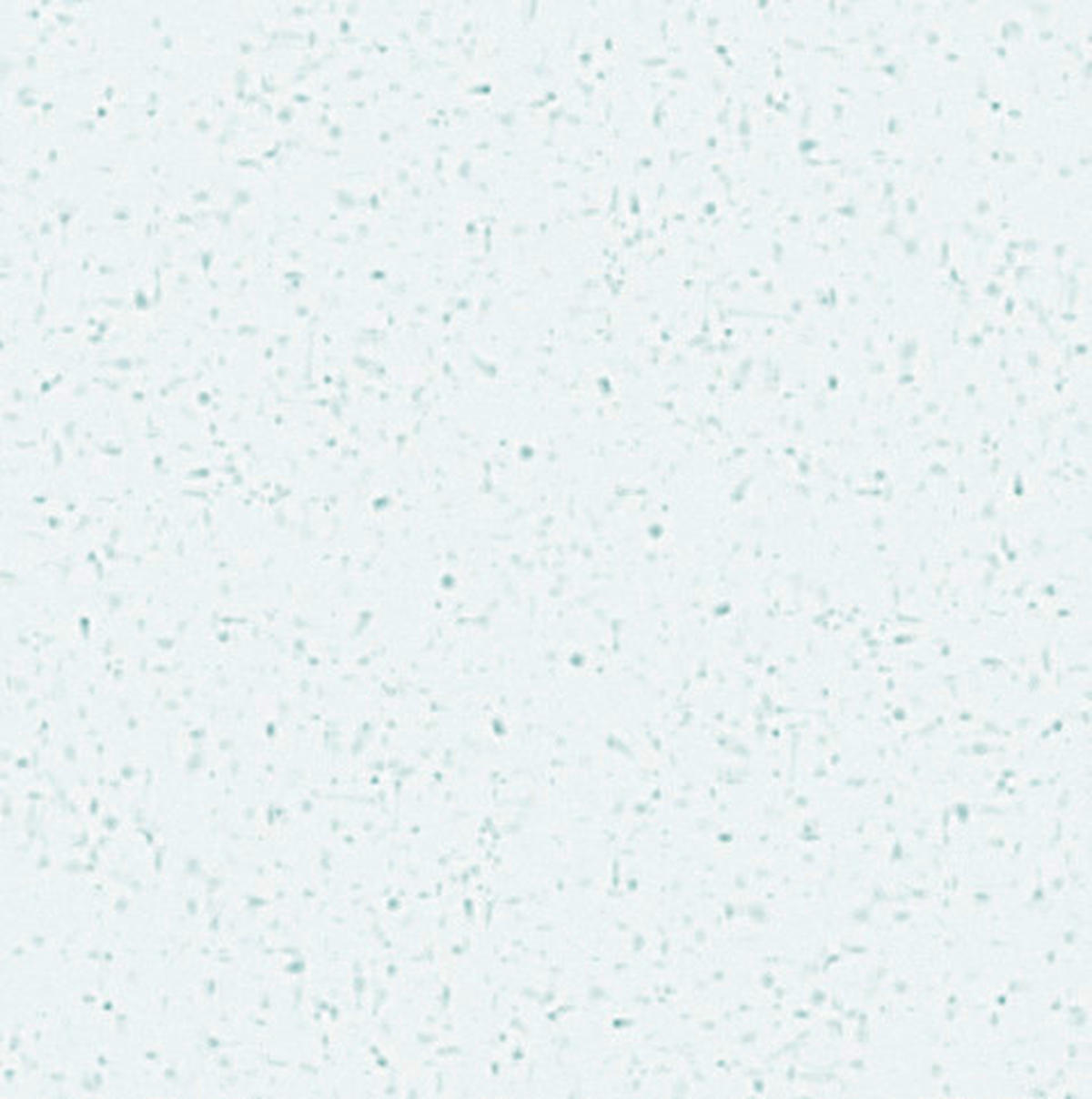 SPÜLE  - Schwarz, MODERN (57/48cm) - Dieter Knoll