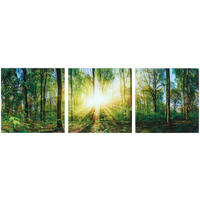 GLASBILD Landschaft & Natur  - Multicolor, Natur, Glas (30/90/1,40cm) - Euroart